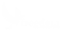 Freedom Consulting